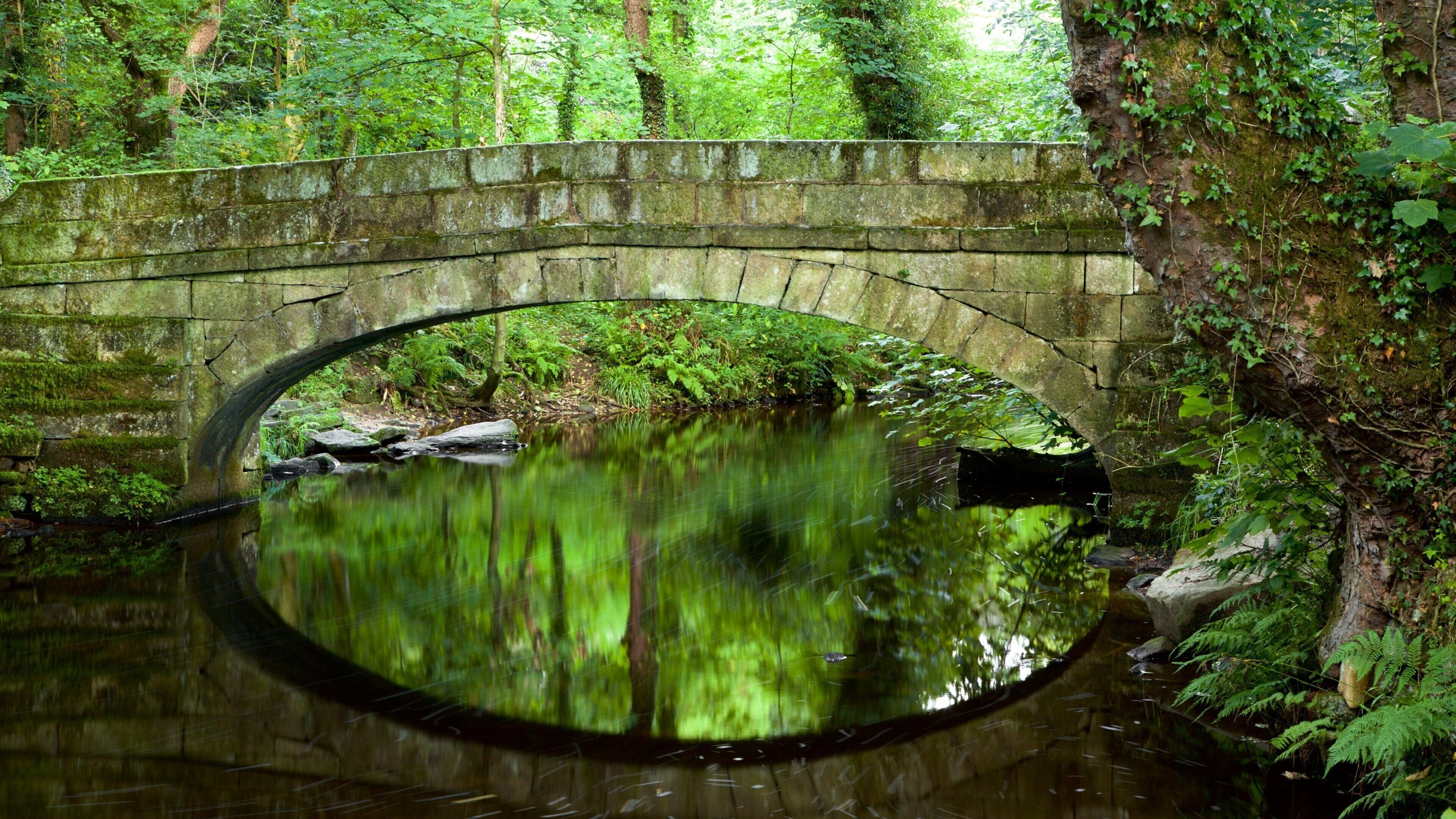 Rivelin Valley woodland path Sheffield